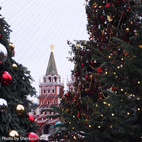 Москва рождественская (маршрут №2) - фото 4662