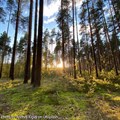 Гаврилов Ям - село Великое - «В гости к Гавриле Ямщику» - фото 4636